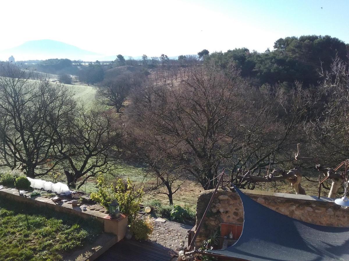 Le Petit Fabre Ξενοδοχείο Montagnac  Εξωτερικό φωτογραφία