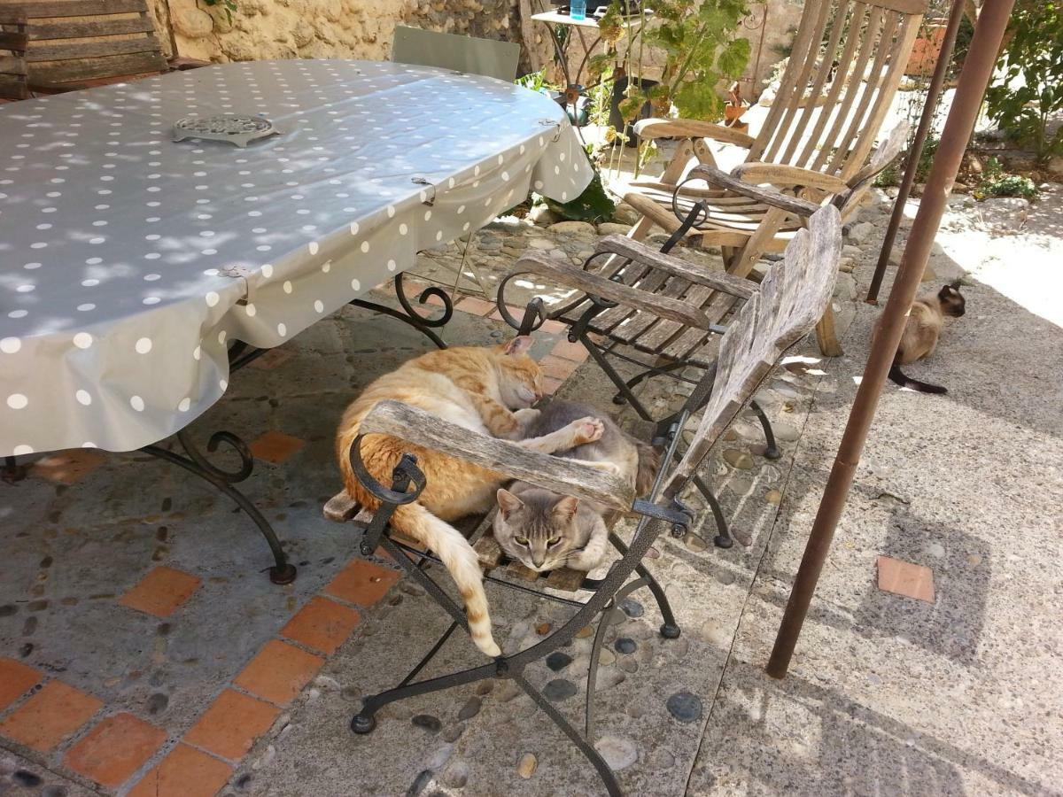 Le Petit Fabre Ξενοδοχείο Montagnac  Εξωτερικό φωτογραφία