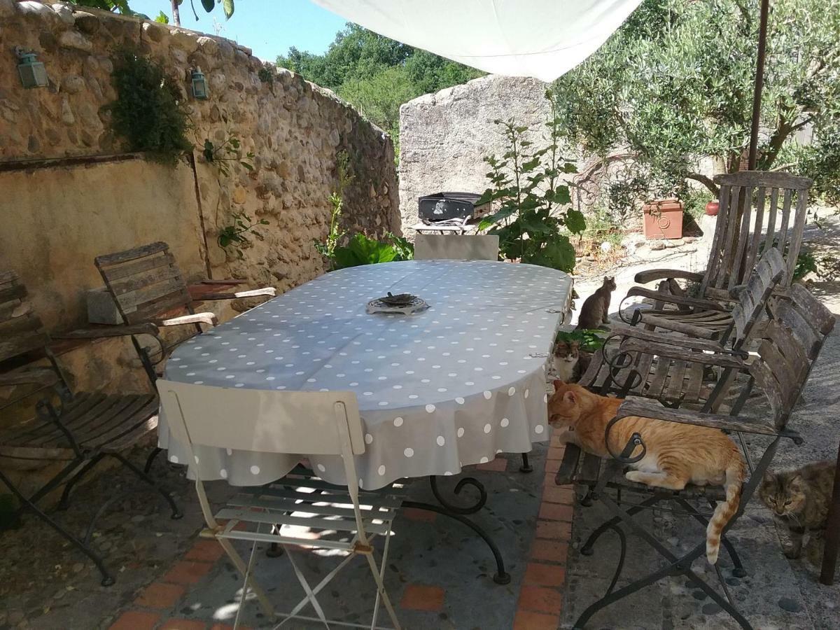 Le Petit Fabre Ξενοδοχείο Montagnac  Εξωτερικό φωτογραφία