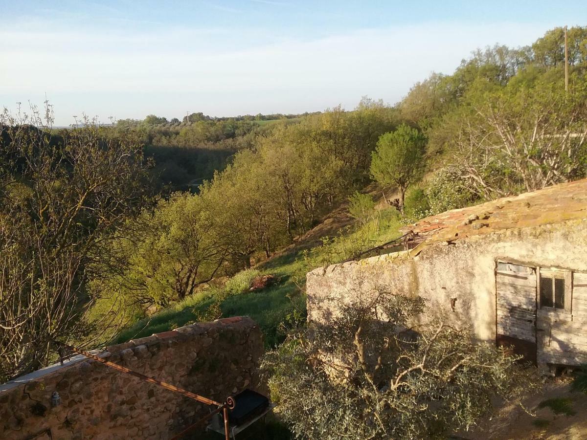 Le Petit Fabre Ξενοδοχείο Montagnac  Εξωτερικό φωτογραφία